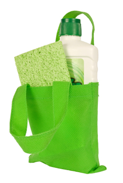 Green bag with cleaning products inside